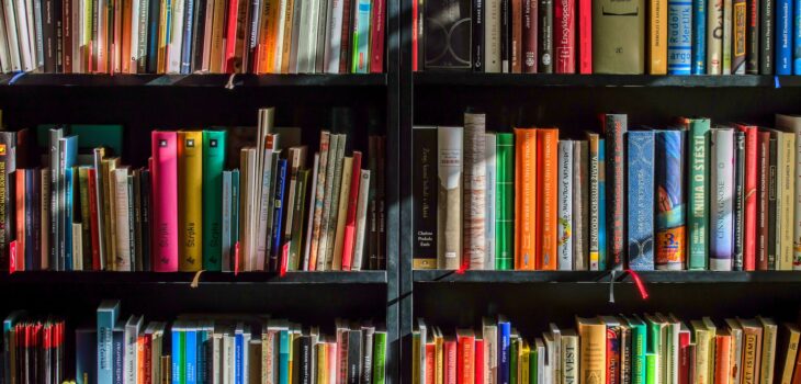 books in black wooden book shelf